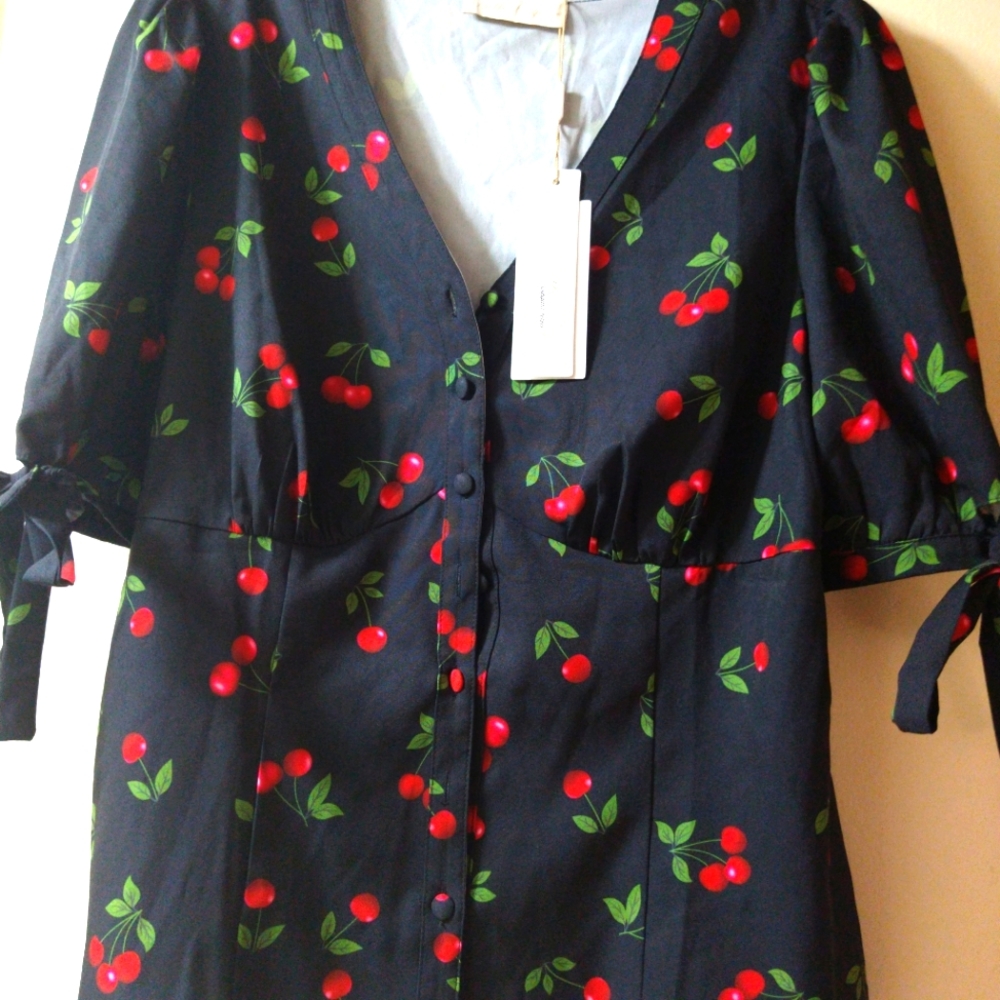 NWT Elegant Retro Cherry Print Belle Poque Blouse